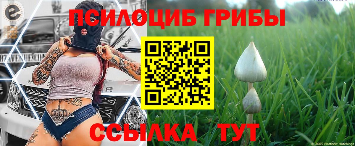 Кисловодск  Псилоцибиновые грибы MAGIC MUSHROOMS  Вход с VPN  Галлюциногенные грибы Cubensis 