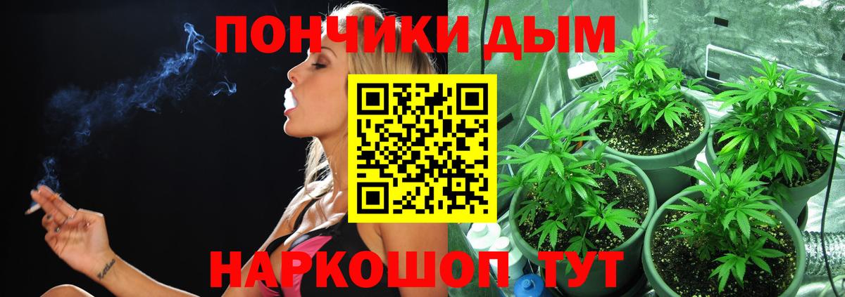 Каннабис конопля  МАРИХУАНА марихуана  Вход с VPN  Кисловодск  Шишки марихуана конопля  Канабис сатива 